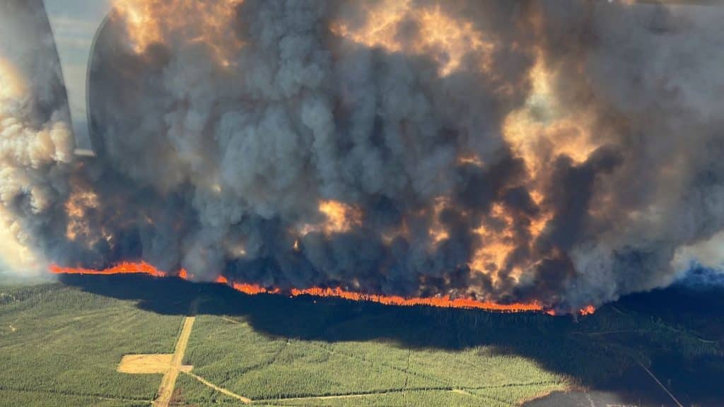 An aerial shot of a wildfire going through a forest with smoke billowing into the sky.