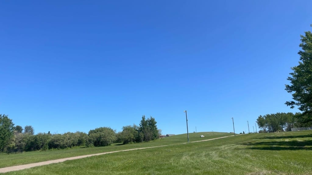 A picture of a grassy green hill with trees and other shrubbery, with a path leading up the hill.