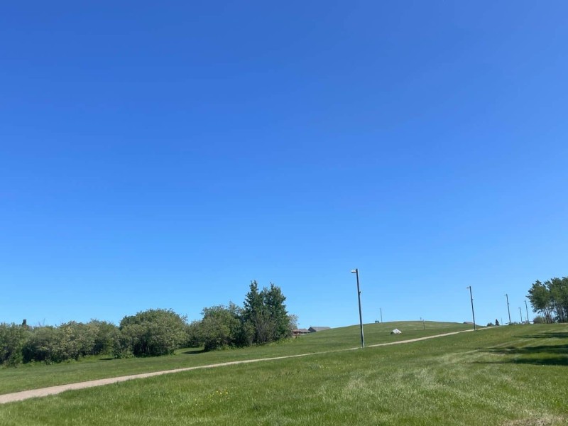 A picture of a grassy green hill with trees and other shrubbery, with a path leading up the hill.