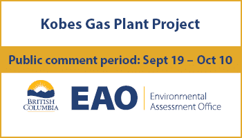Kobes Gas Plant Project Public Comment Period