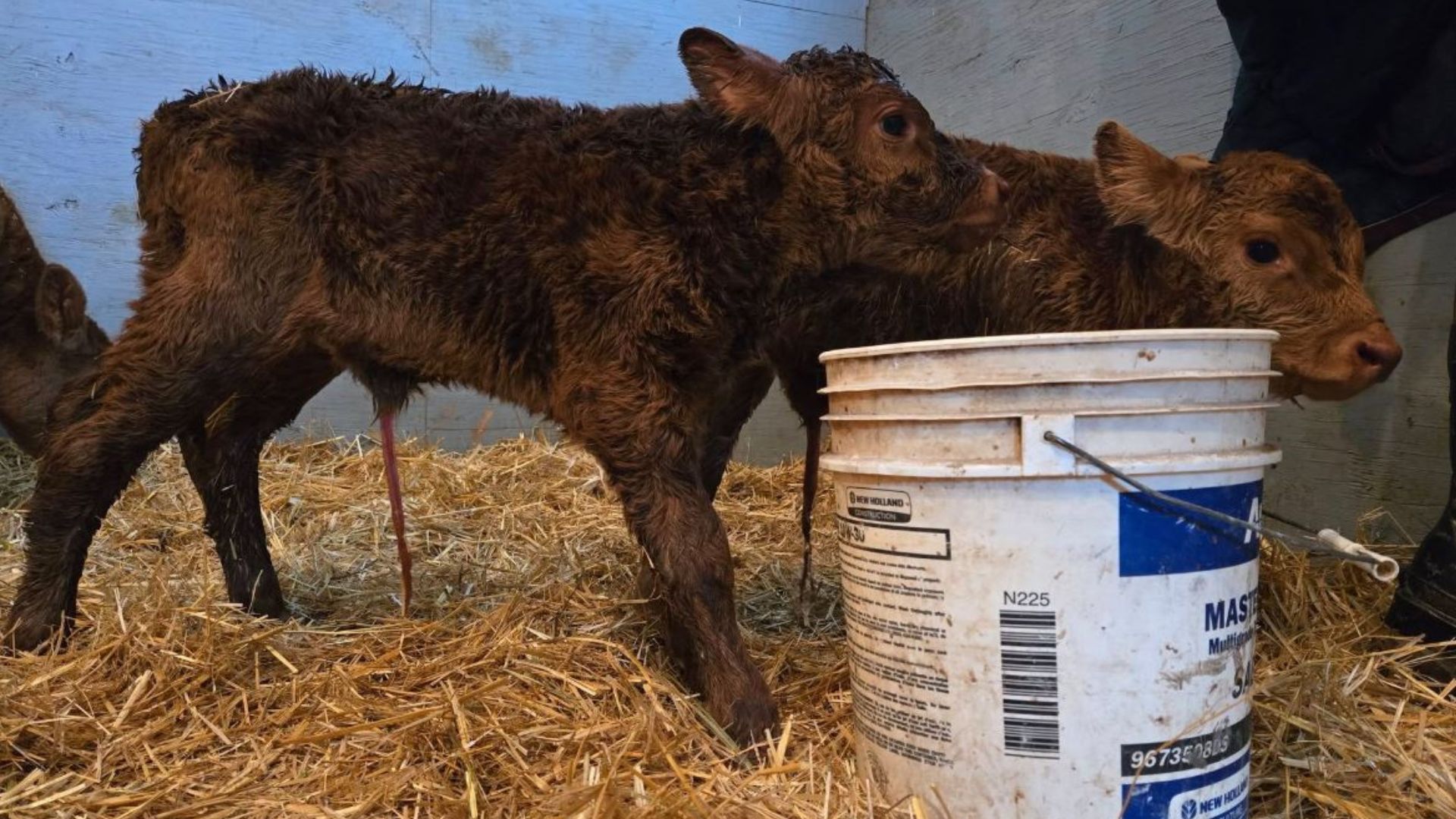 Disrupting the Peace: On a B.C. ranch, fracking earthquakes rattle a ...