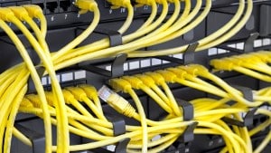 A collection of yellow ethernet cables plugged into a server rack.