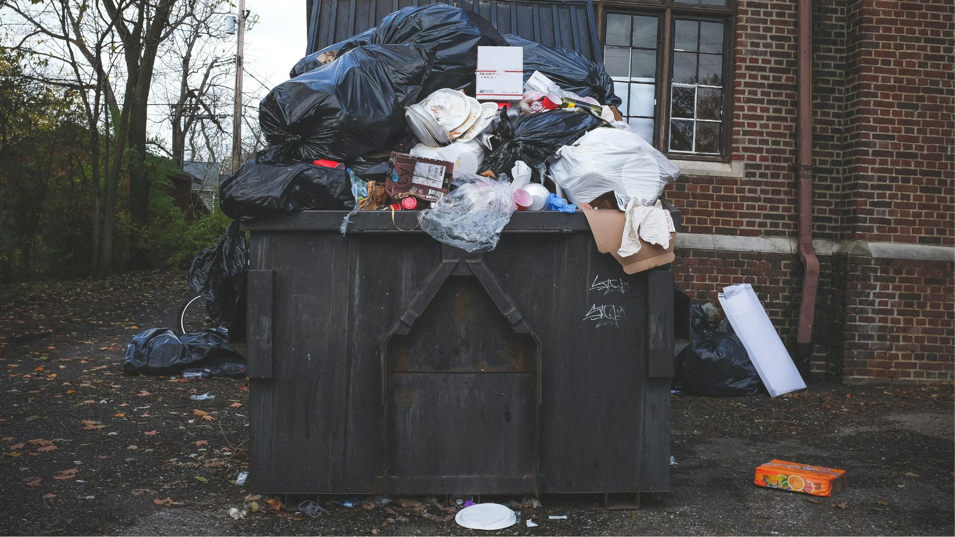 An overlfowing garbage bin (Kenny Eliason/Unsplash)