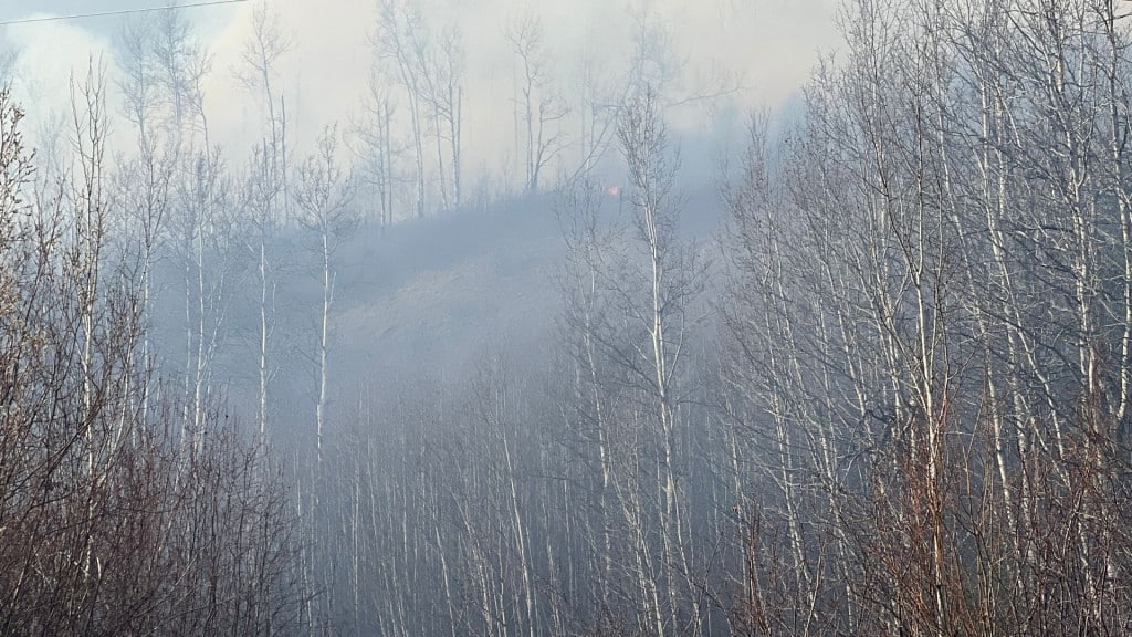 Smoke from the wildfire on Upper Halfway Road (Supplied)