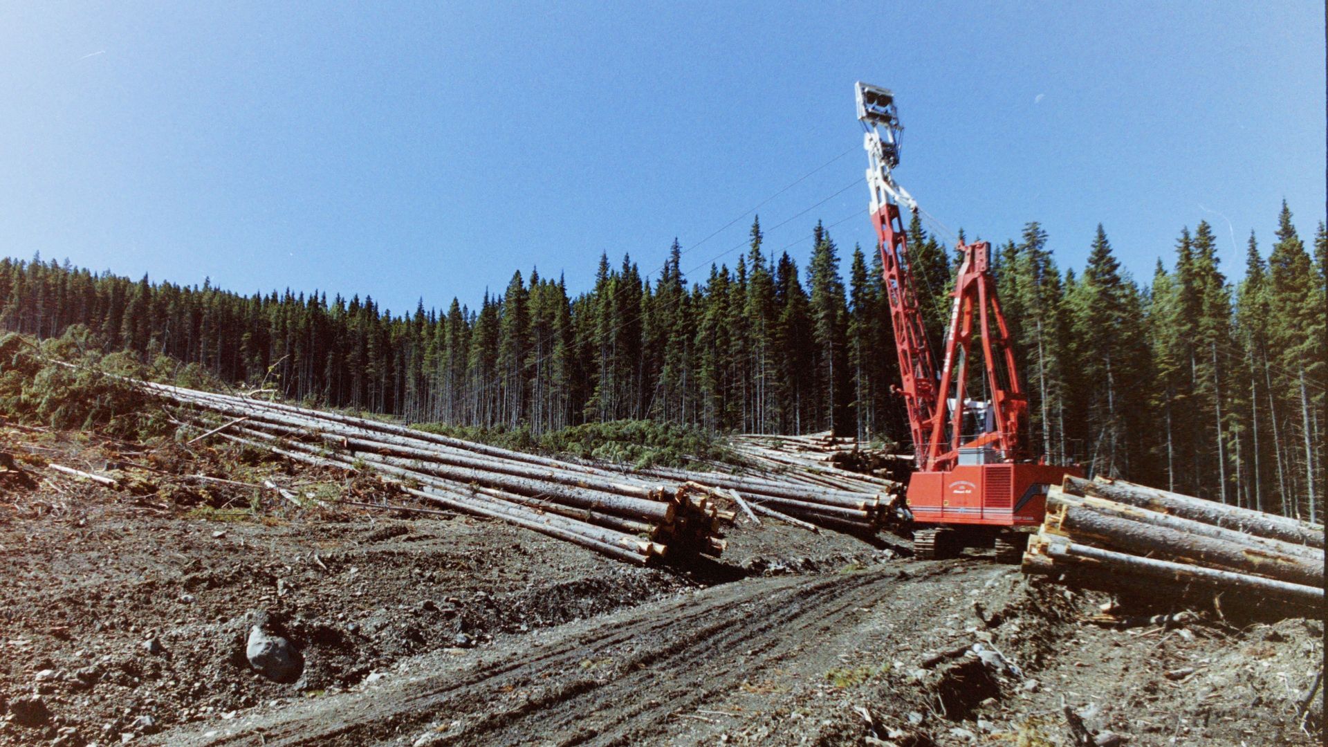 A picture Evan Saugstad took in the 1990s in Chetwynd. The area being logged is now a protected area. (Evan Saugstad)