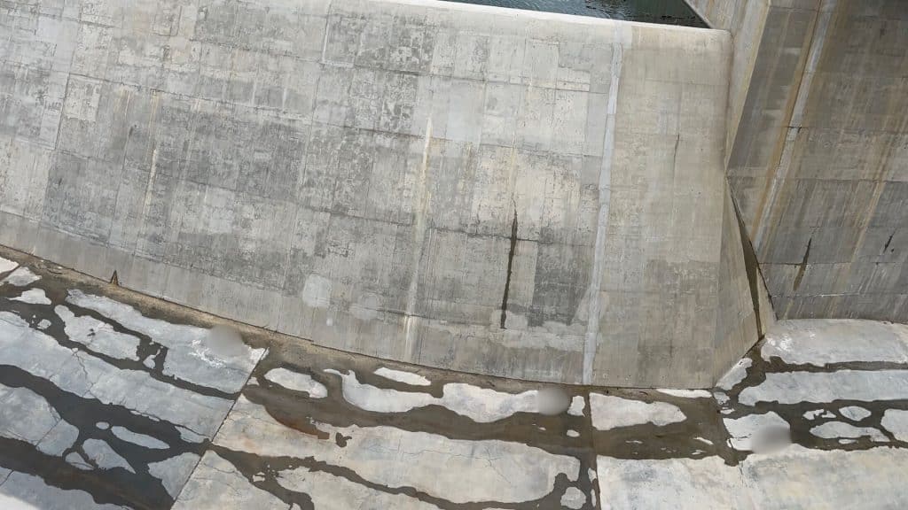 Censored beavers at Site C