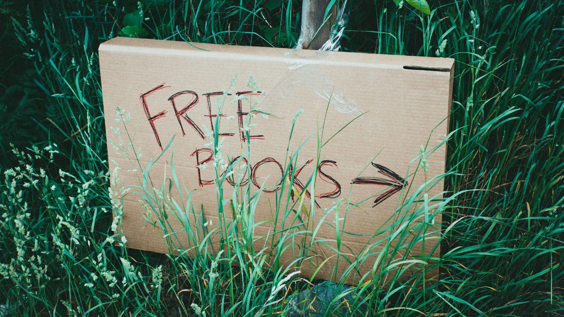 A file photo of a sign for free books. There is set to be a range of items available during Recycle-It Resource Recovery Fort St. John's Free Stuff Weekend from May 24th to May 25th, such as books, furniture and small appliances, tools, sports equipment.