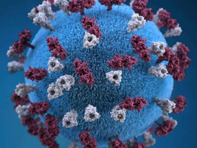 A 3D graphic representation of a measles virus particle. (CDC/Unsplash)