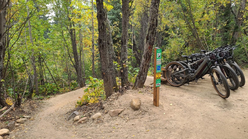 Mountain Bike Association glow ride