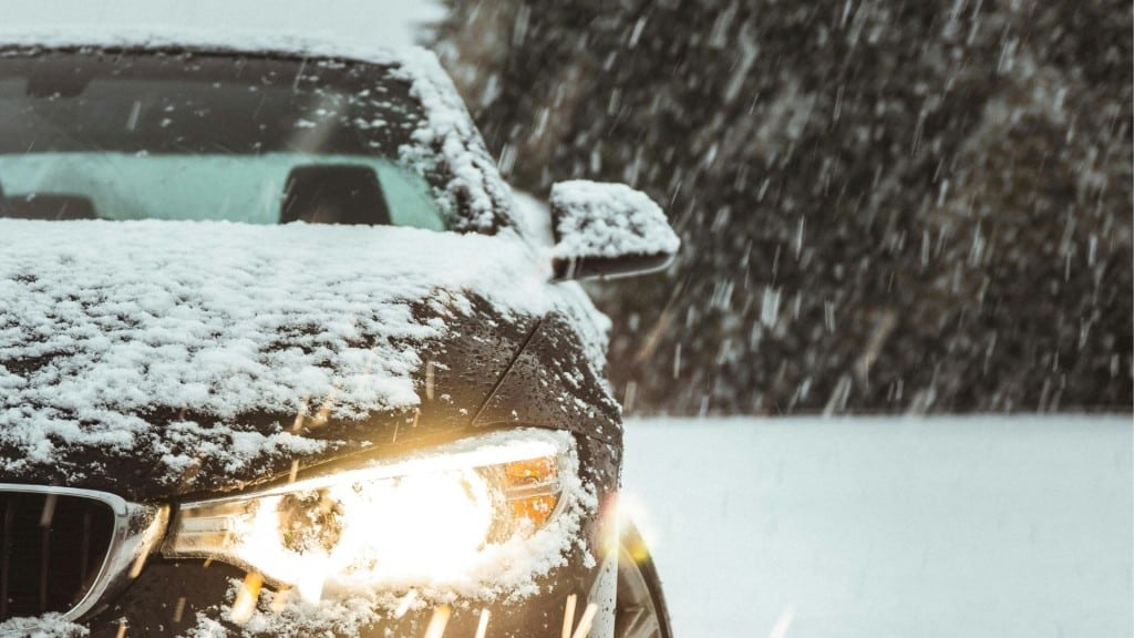 (Danny Sleeuwenhoek/Unsplash)