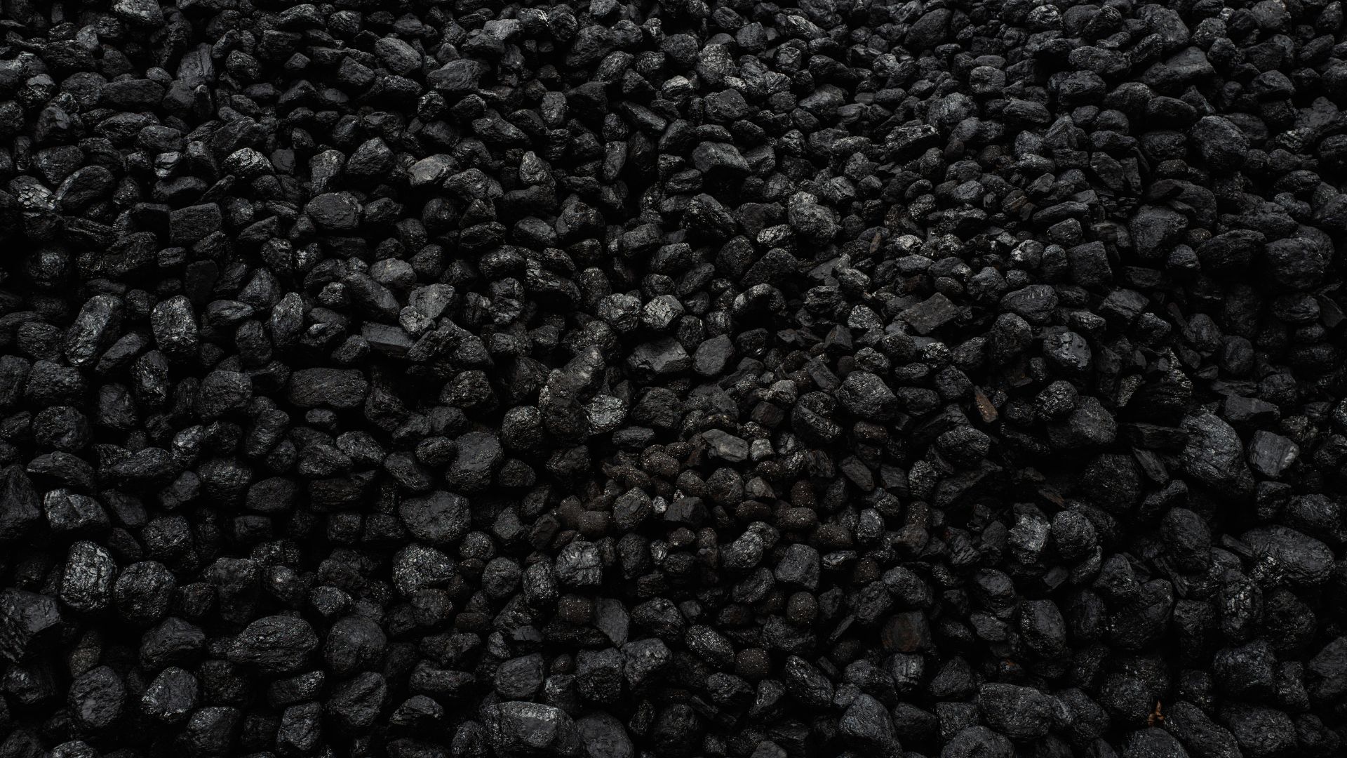 Tumbler Ridge coal mine operator must pay $800k fine, board rules