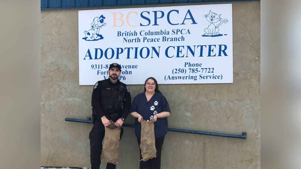 BC SCPA Fort St. John 