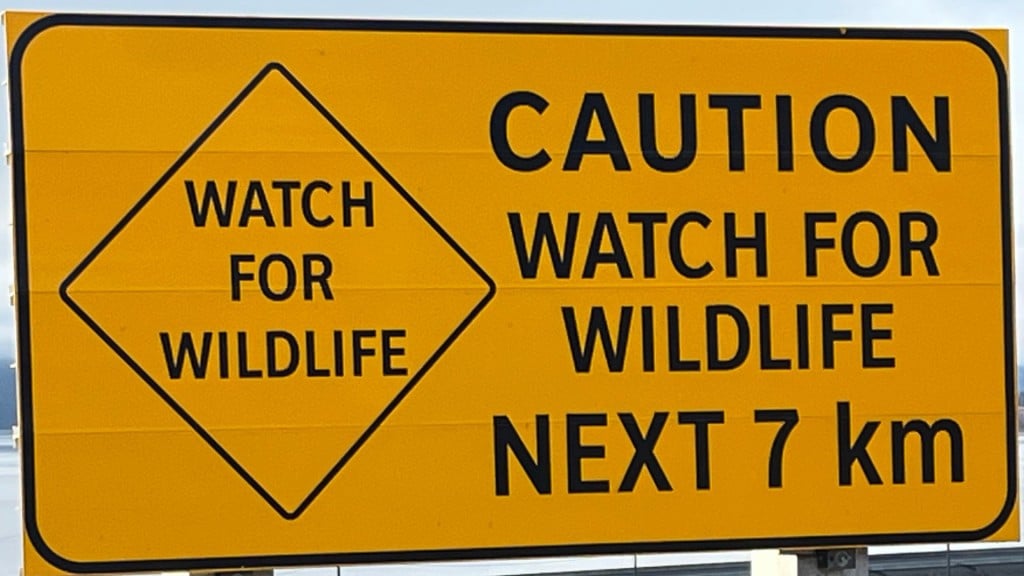 A 'watch for wildlife' sign on the highway. (Submitted by Ken Boon)