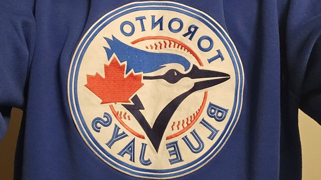 The Blue Jays are competing in the World Series. (Franki Berry, Energeticcity.ca) 