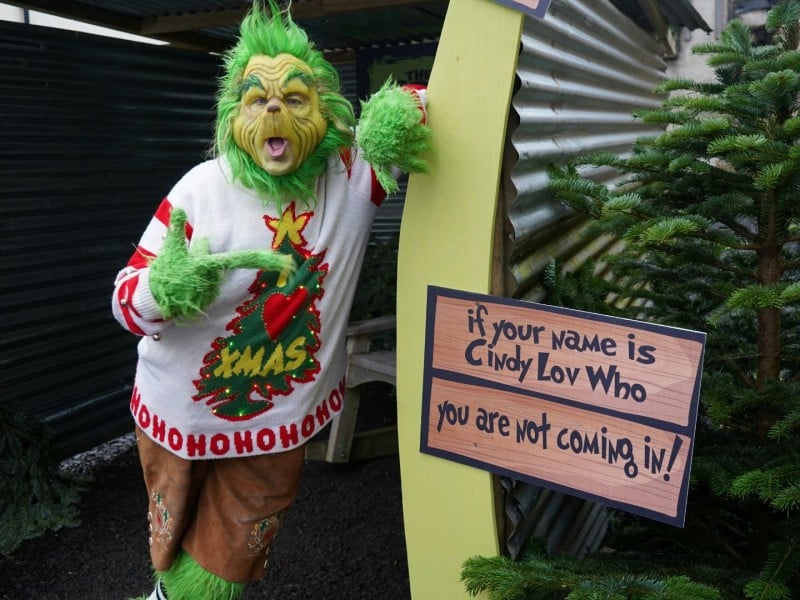 Stock image of The Grinch in his lair. (Geoffrey Moffett/Unsplash)