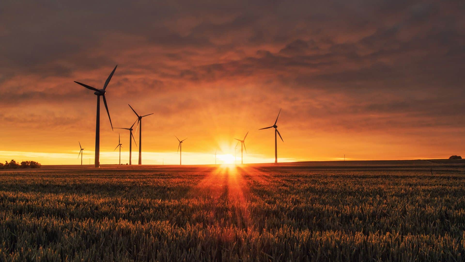 Fifth wind project in four months to be proposed in Peace region