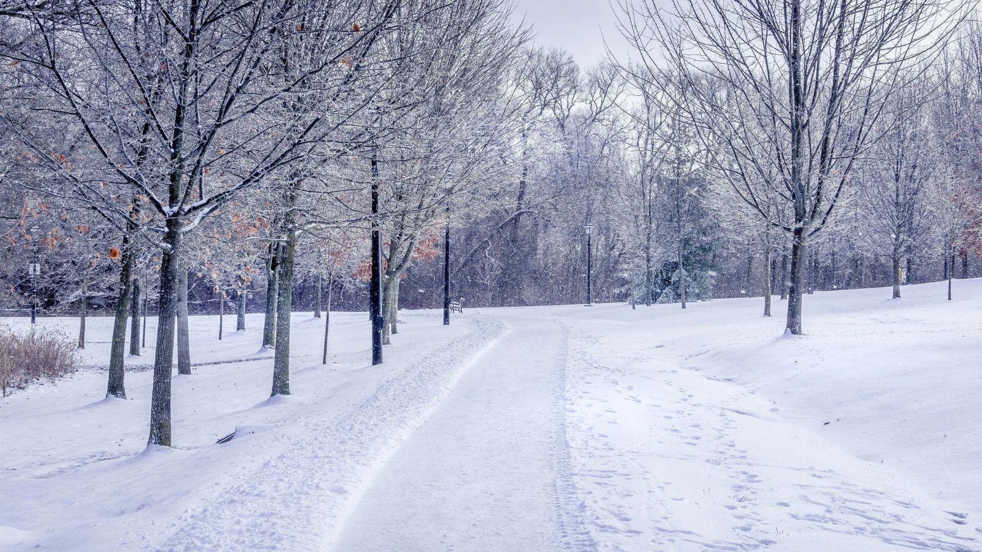 Environment Canada issues extreme cold alert for region