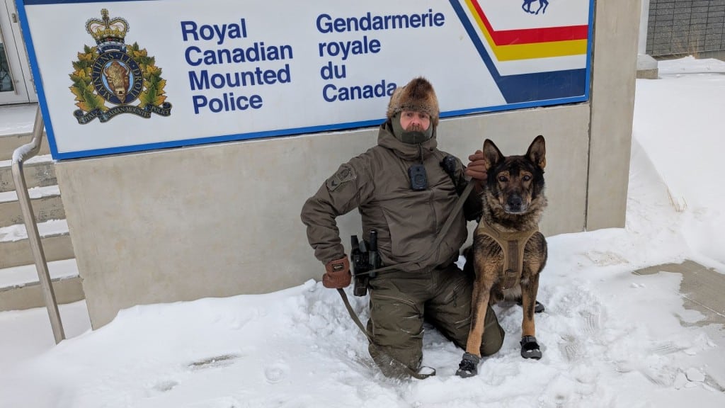Police service dog Mako and his handler in the snow in Fort St. John. (Fort St. John RCMP)
