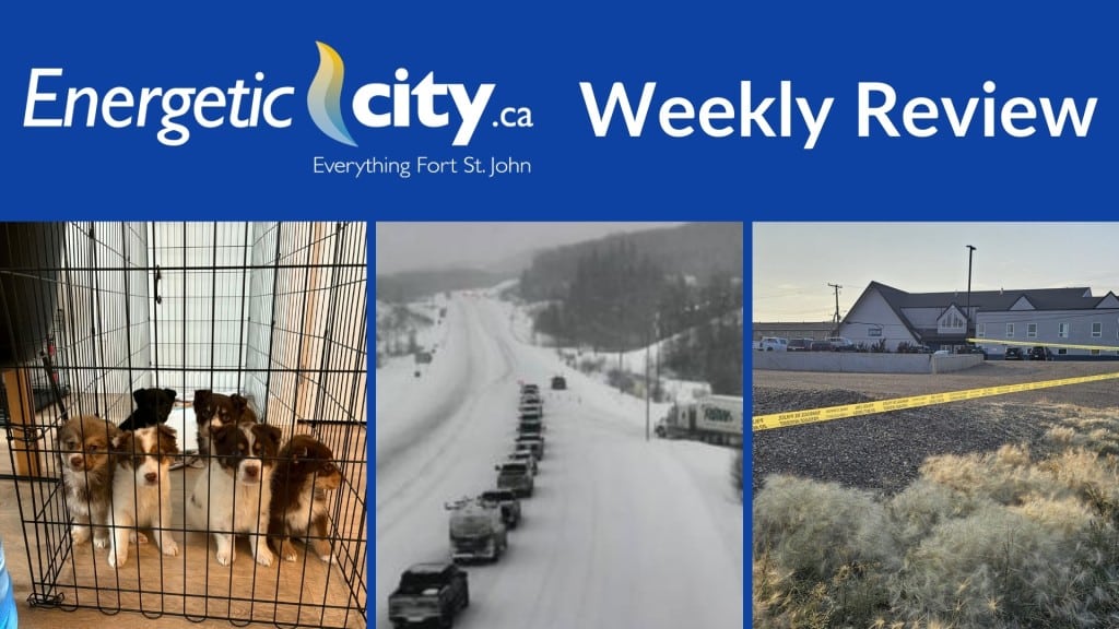 Cover photo for the weekly review