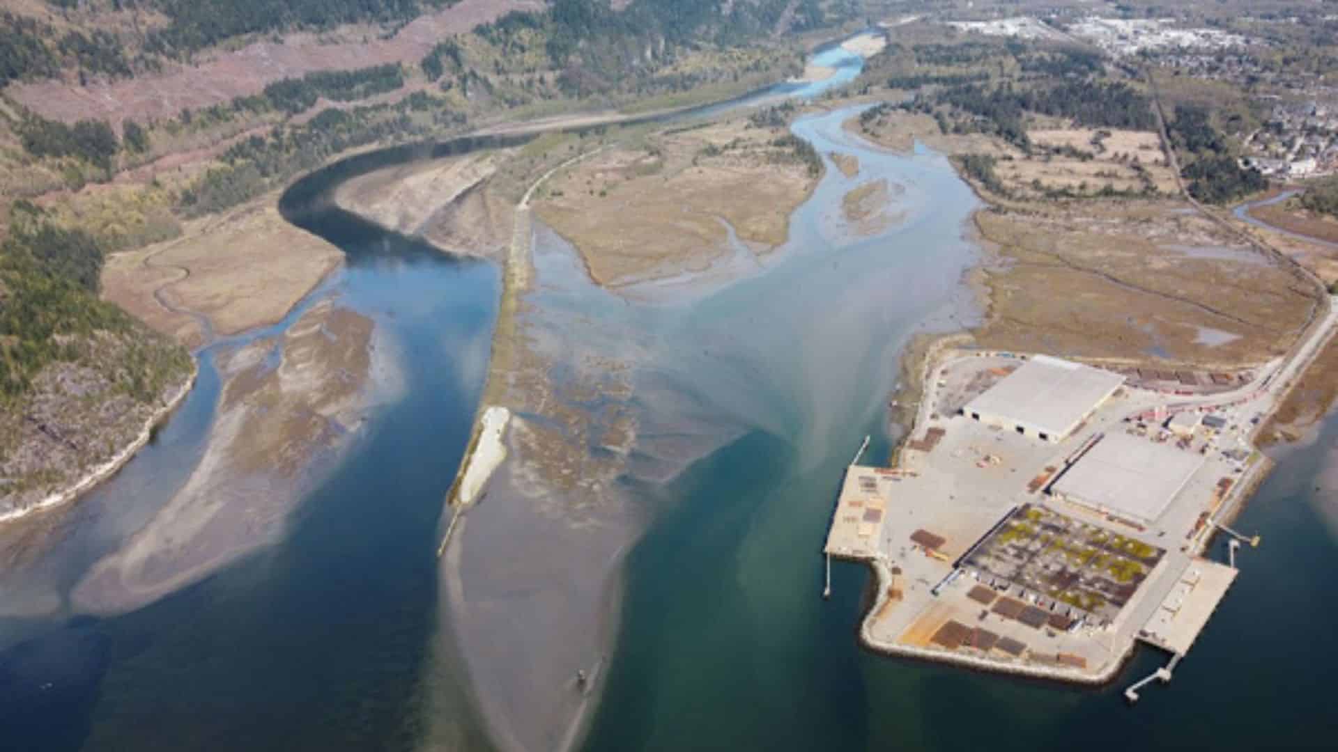 Woodfibre LNG issued notice over salmon monitoring breach