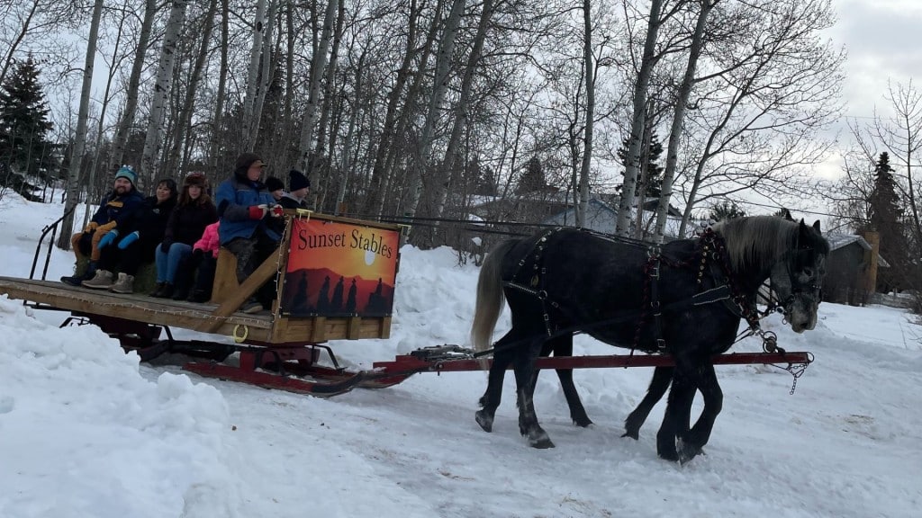 Northern Horse and Mule Harness Association provided horse-drawn sleigh rides at the Winter Fest 2026 launch event. (Areli Nuñez, Energeticcity.ca)