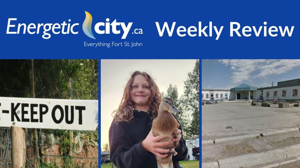 Cover photo for the weekly review