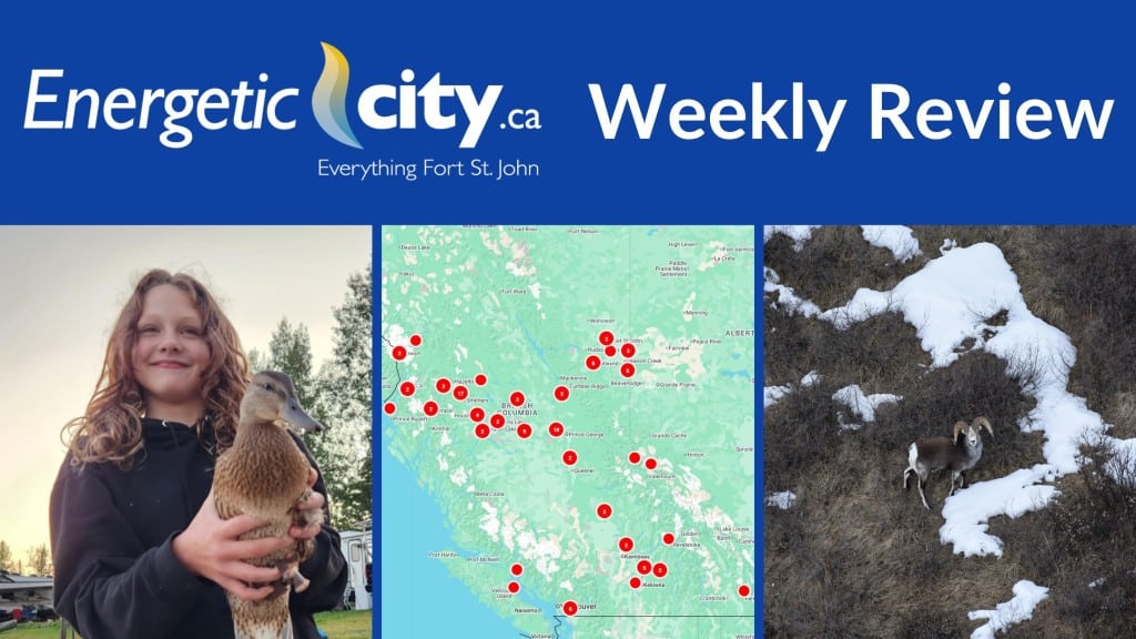 Cover photo for the weekly review