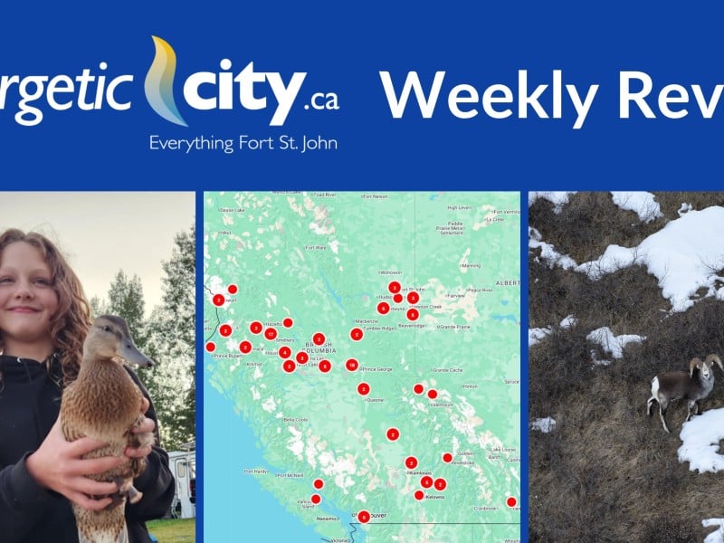 Cover photo for the weekly review