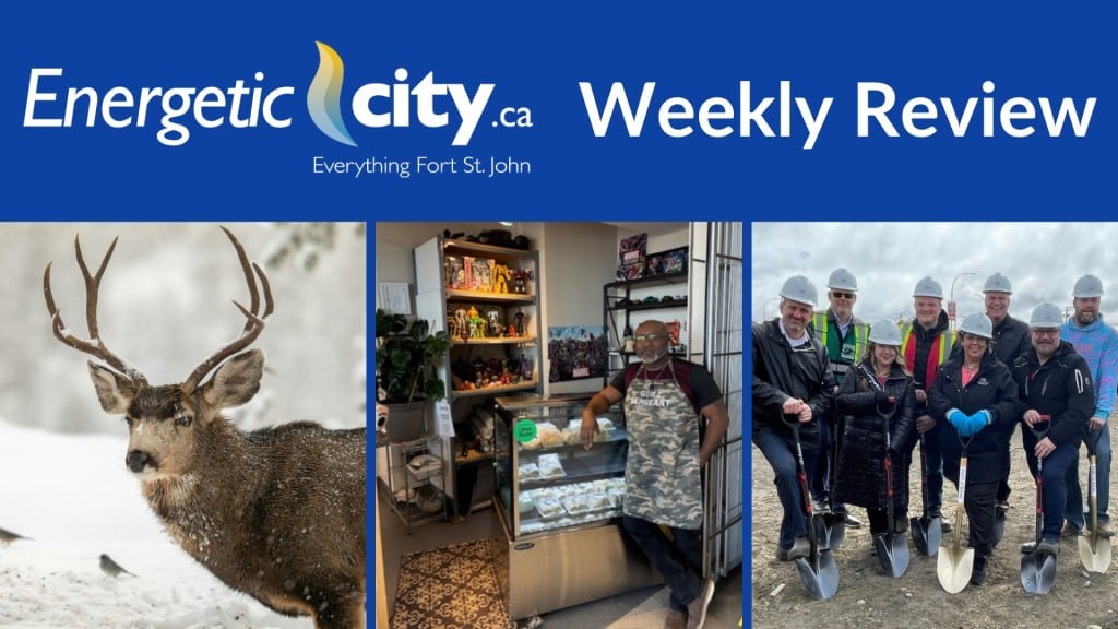 Cover photo for the weekly review