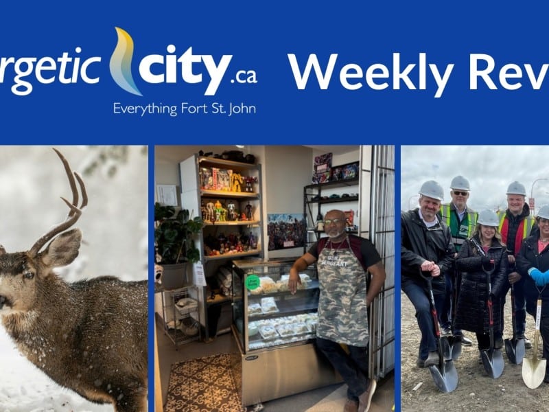 Cover photo for the weekly review