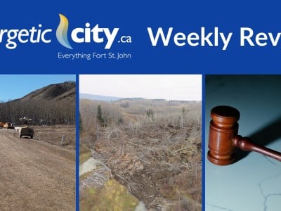 Cover photo for the weekly review