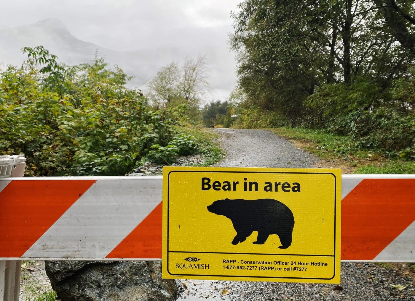 A sign warning of a bear in the area is shown at the Squamish Estuary trail network in Squamish, B.C. on Friday, November 4, 2022. Conservation officers are investigating after a man was injured by a black bear at his home in Mission, B.C., on May 14, 2026. THE CANADIAN PRESS/Amy Smart