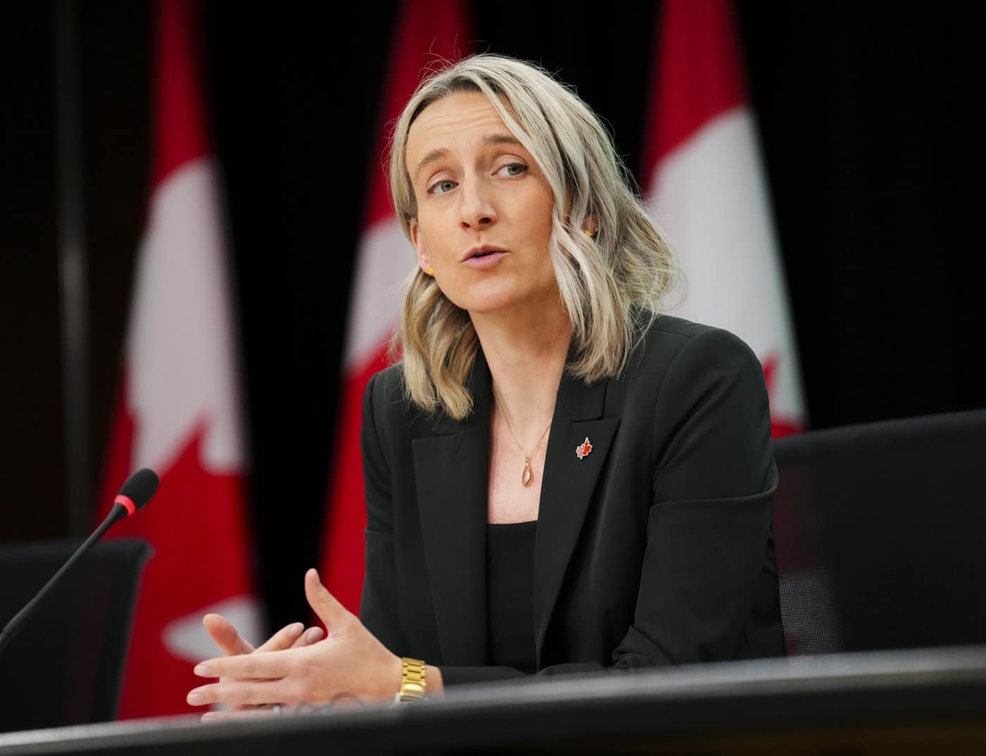 Canada's Chief Public Health Officer, Dr. Joss Reimer, answers a reporters question as she provides an updates about the Andes Hantavirus and actions taken by the Government of Canada during a press conference at the National Press Theatre in Ottawa on Thursday, May 14, 2026. THE CANADIAN PRESS/Sean Kilpatrick