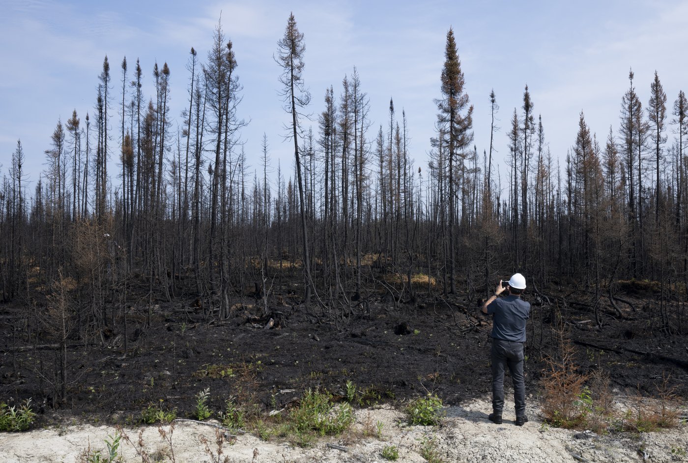 A reporter takes a photo of trees damaged by fire during a tour near Lebel-sur-Quevillon, Que., Wednesday, July 5, 2023. THE CANADIAN PRESS/Adrian Wyld