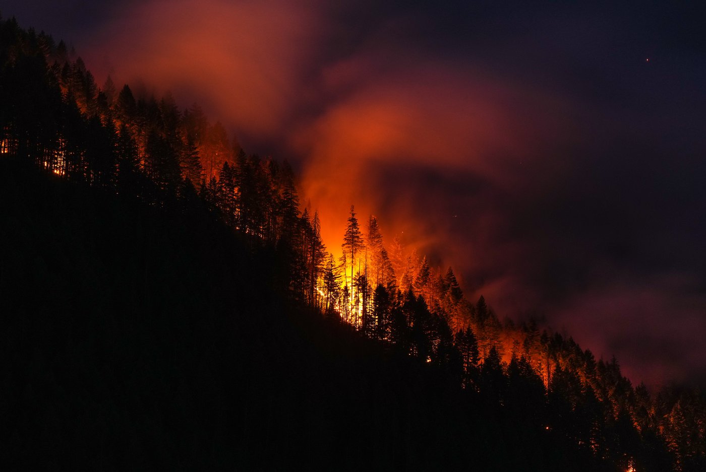 The Brunswick Creek wildfire consumes trees on a mountainside, in Boston Bar, B.C., on Thursday, July 9, 2026. THE CANADIAN PRESS/Darryl Dyck