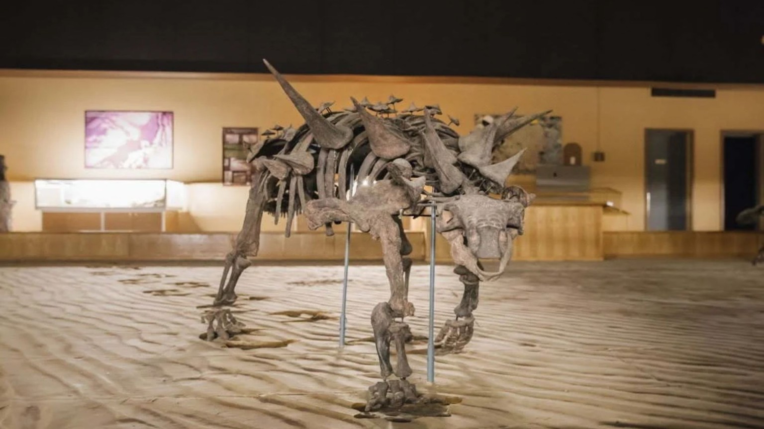 Tumbler Ridge Museum to host Scavenger Hunt challenge